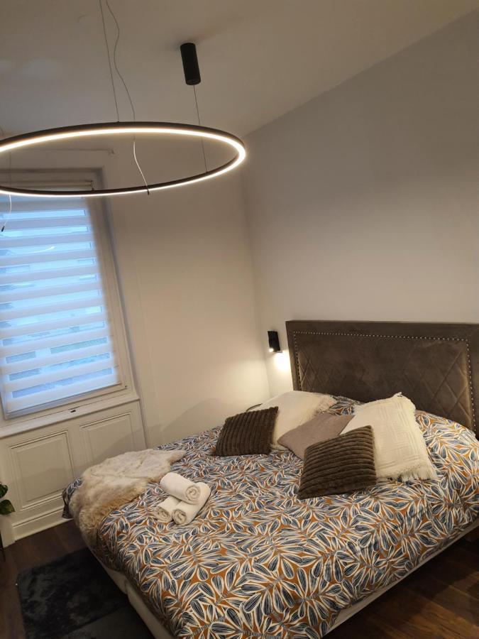 סן-אטיין Hote Stephanois Studio, Parking& Borne Electrique מראה חיצוני תמונה
