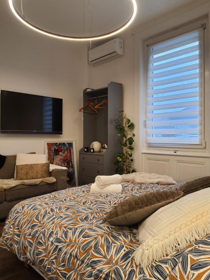 סן-אטיין Hote Stephanois Studio, Parking& Borne Electrique מראה חיצוני תמונה