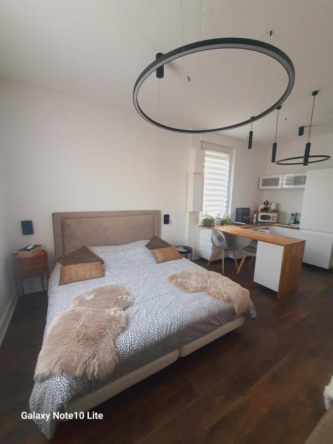 סן-אטיין Hote Stephanois Studio, Parking& Borne Electrique מראה חיצוני תמונה