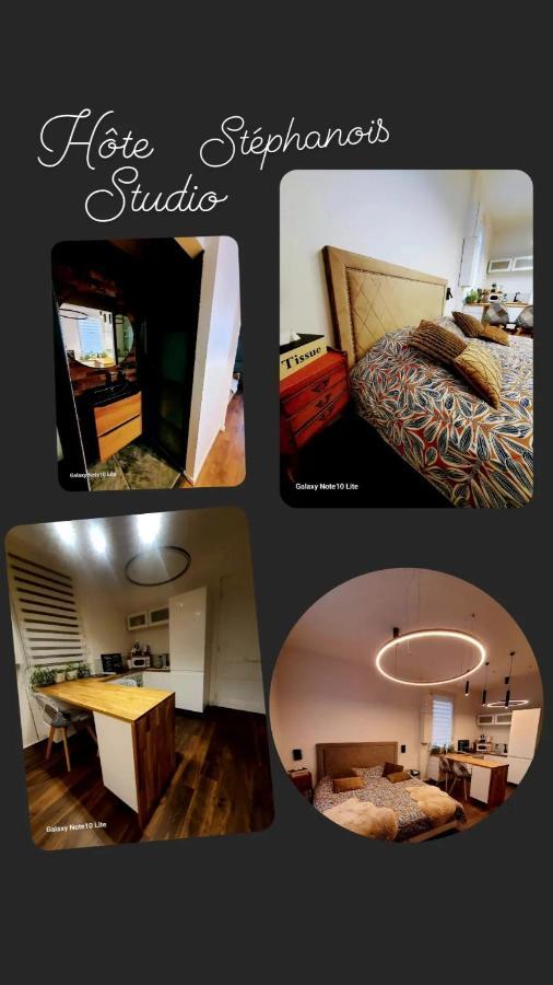 סן-אטיין Hote Stephanois Studio, Parking& Borne Electrique מראה חיצוני תמונה