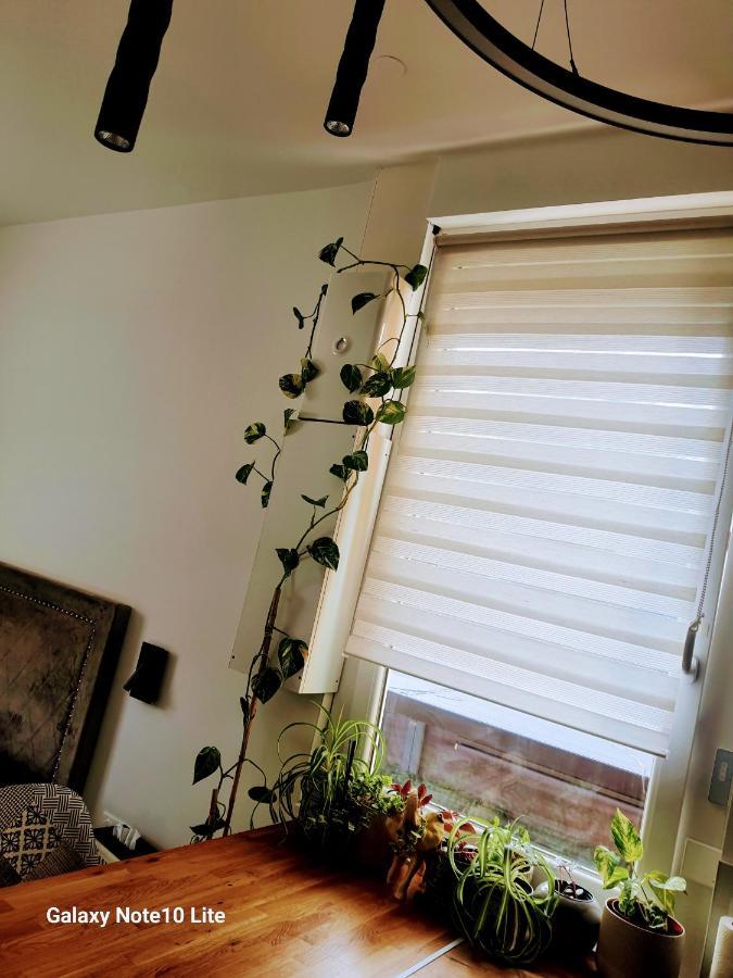 סן-אטיין Hote Stephanois Studio, Parking& Borne Electrique מראה חיצוני תמונה
